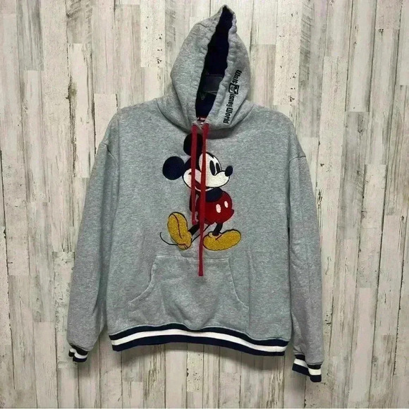 2022 Disney Parks Walt Disney World Mickey Sweatshirt Hoodie/Adult Small - Picture 1 of 7